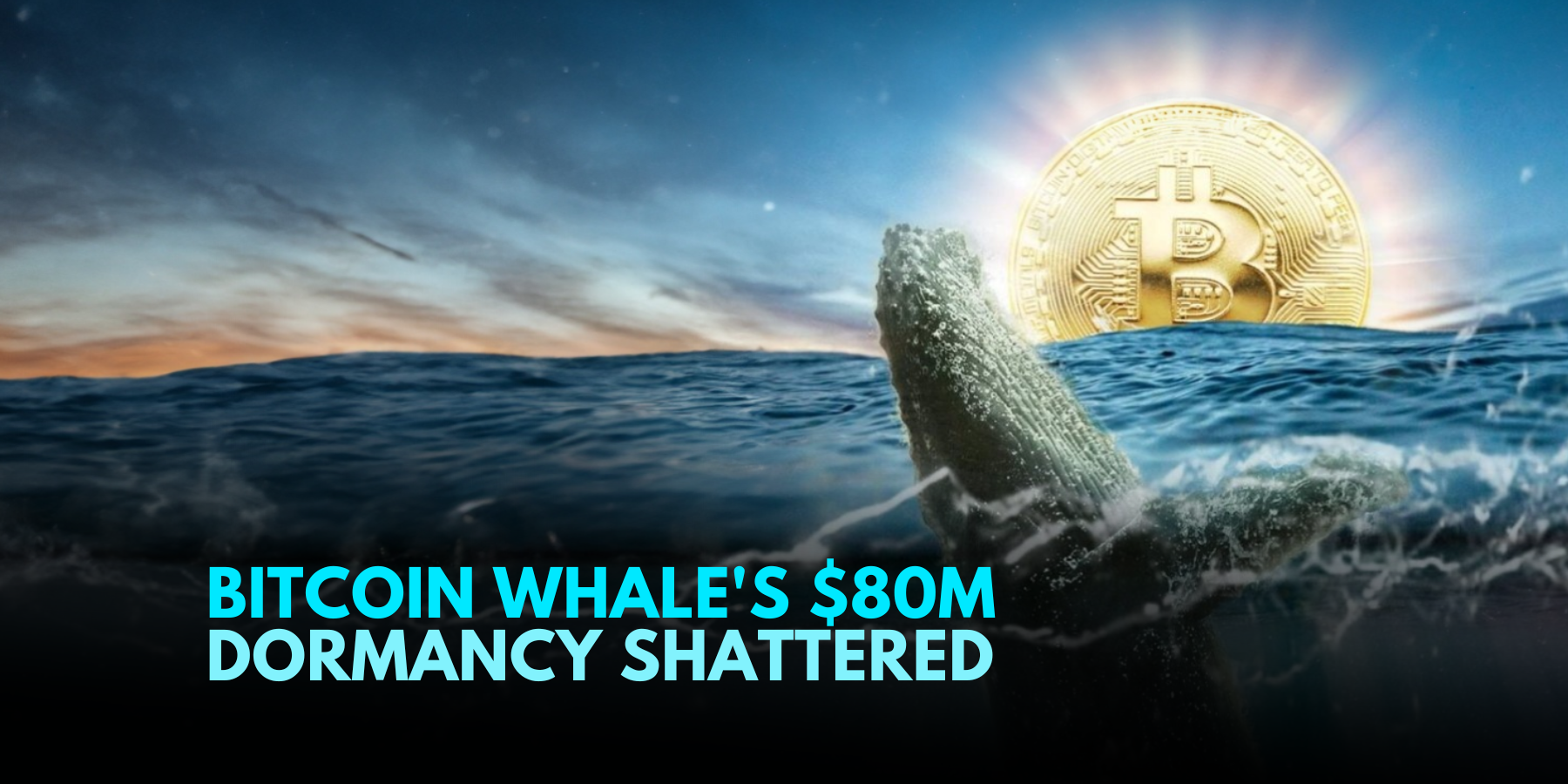 Bitcoin's Silent Whale Awakens: $80 Million Surge – TitoVlogs