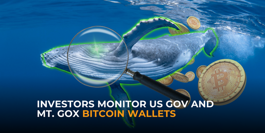 Big Whales to Watch: US Gov and Mt. Gox Bitcoin Wallets