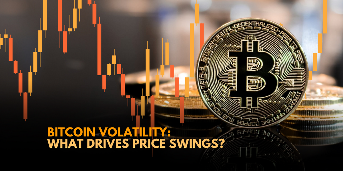Unmasking the Rollercoaster Ride of Bitcoin Volatility