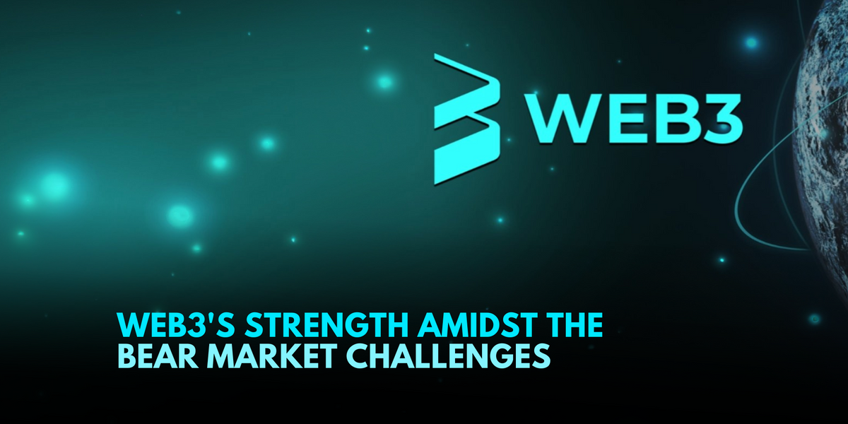 Web3's Resilience in the Bear Market: A Promising Future Awaits – TitoVlogs