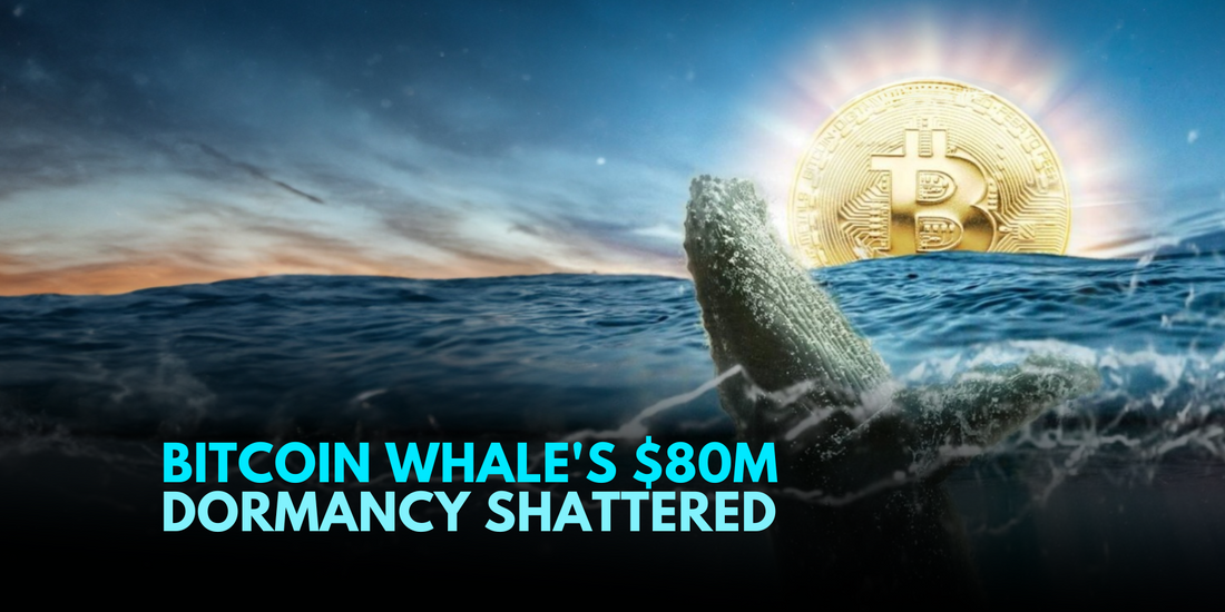 Bitcoin's Silent Whale Awakens: $80 Million Surge