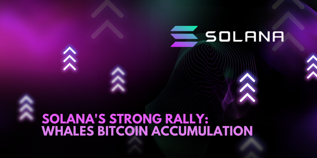 Solana Surges on Visa Partnership, Bitcoin Stable as Whales Accumulate