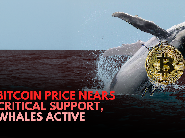 "Smart Money Whales Positioning for a Major Bitcoin Move: Uncertainty Persists in the Market"