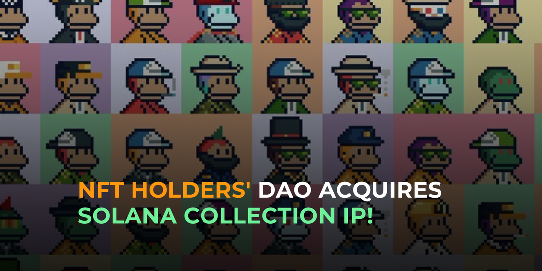 DAO of NFT Holders Gets in on Solana Monkey Business: Acquires IP of Solana NFT Collection