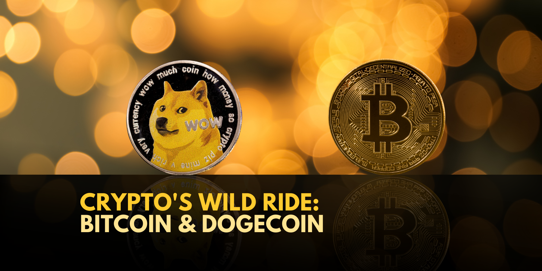 Bitcoin Rollercoaster Dogecoin Soars Amid Fed Uncertainty Titovlogs
