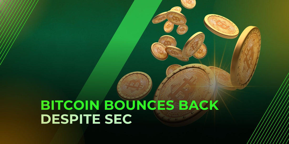 Bitcoin Regains Lost Ground Amid SEC Crackdown