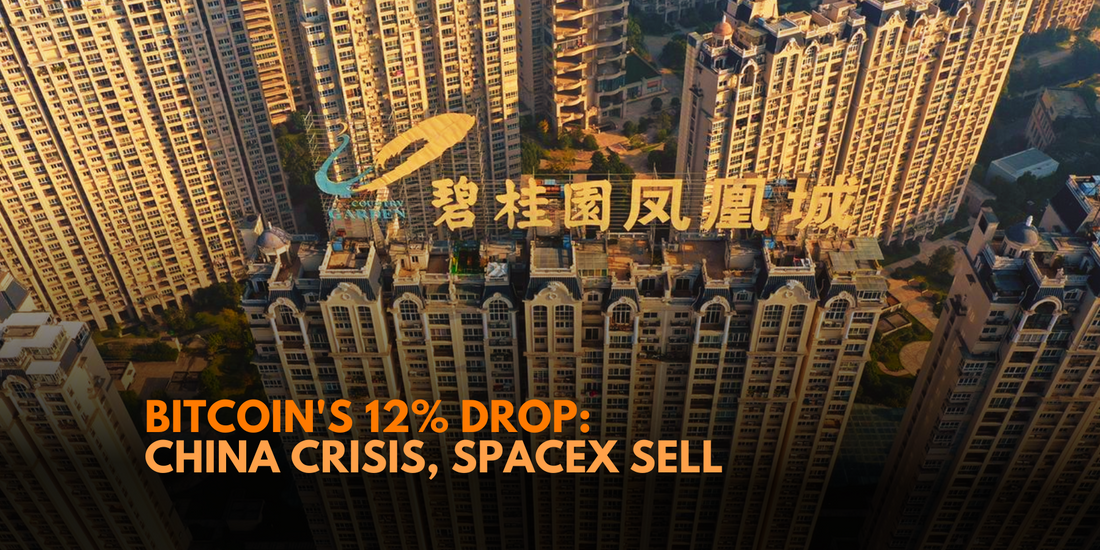 Bitcoin's 12% Plunge: China Crisis, SpaceX Sell-off