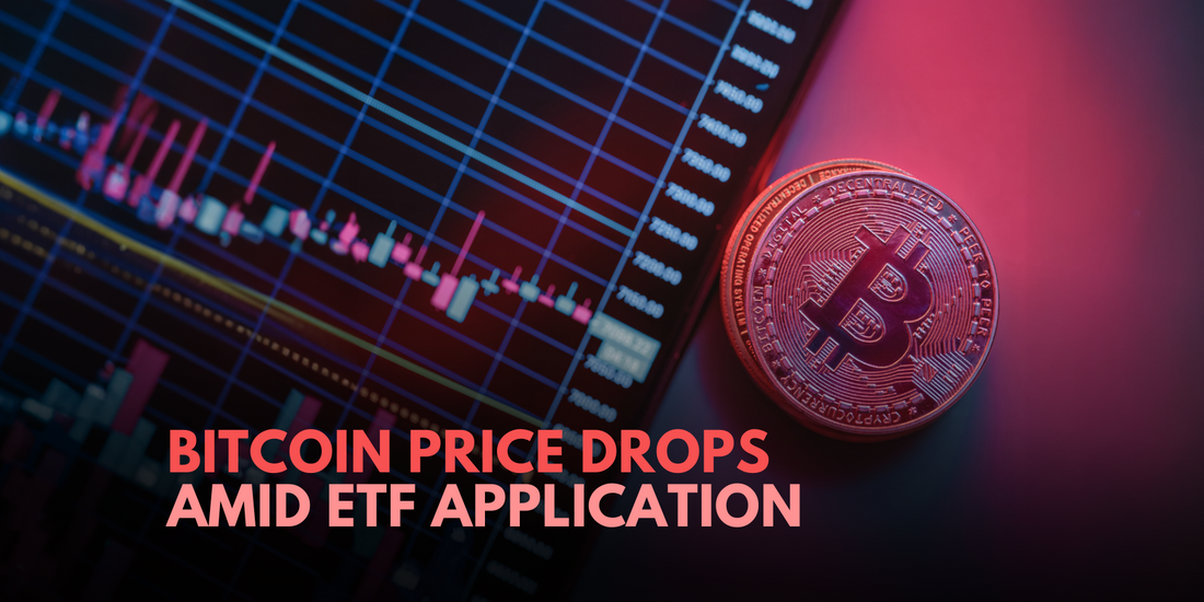 Bitcoin Price Plunges as SEC Deems BlackRock's Spot Bitcoin ETF Application Inadequate