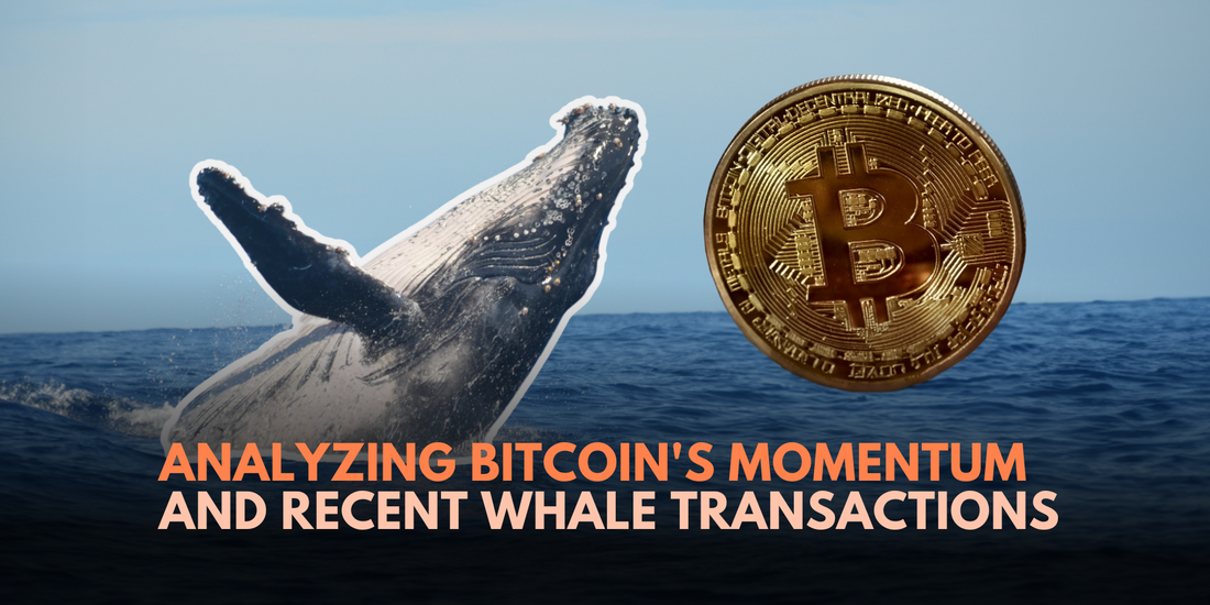 Bitcoin Market Outlook and Whale Activity: Insights and Analysis