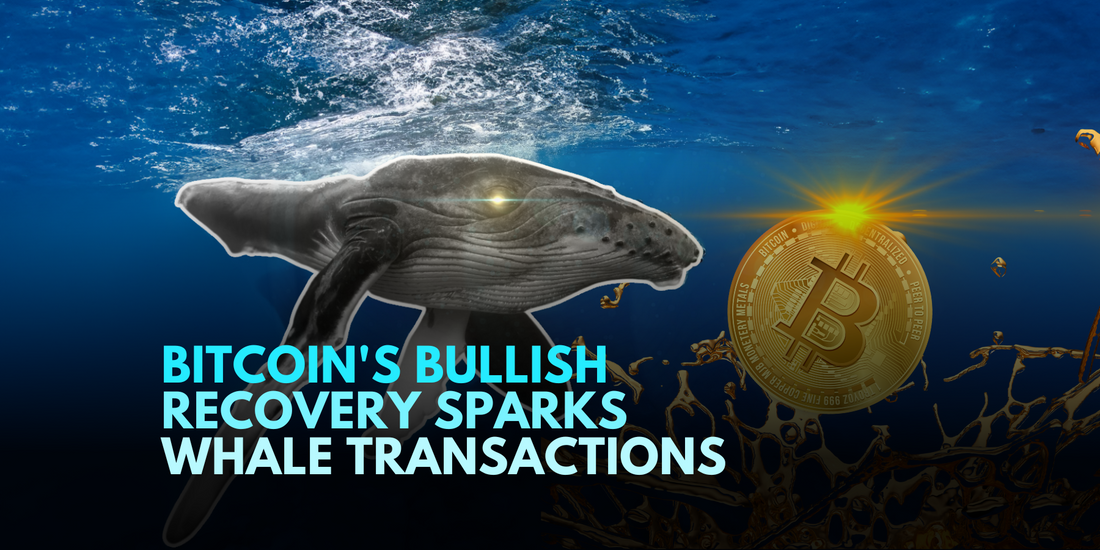 Bitcoin's Bullish Recovery Sparks Whale Transactions