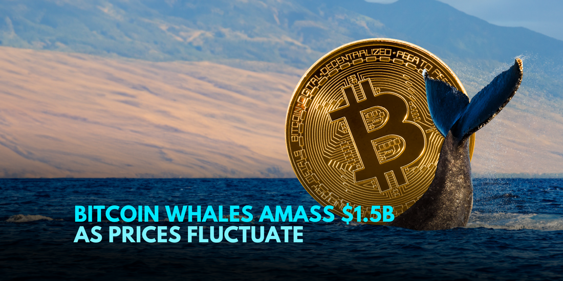 Whales Accumulate $1.5 Billion in Bitcoin Amid Price Volatility