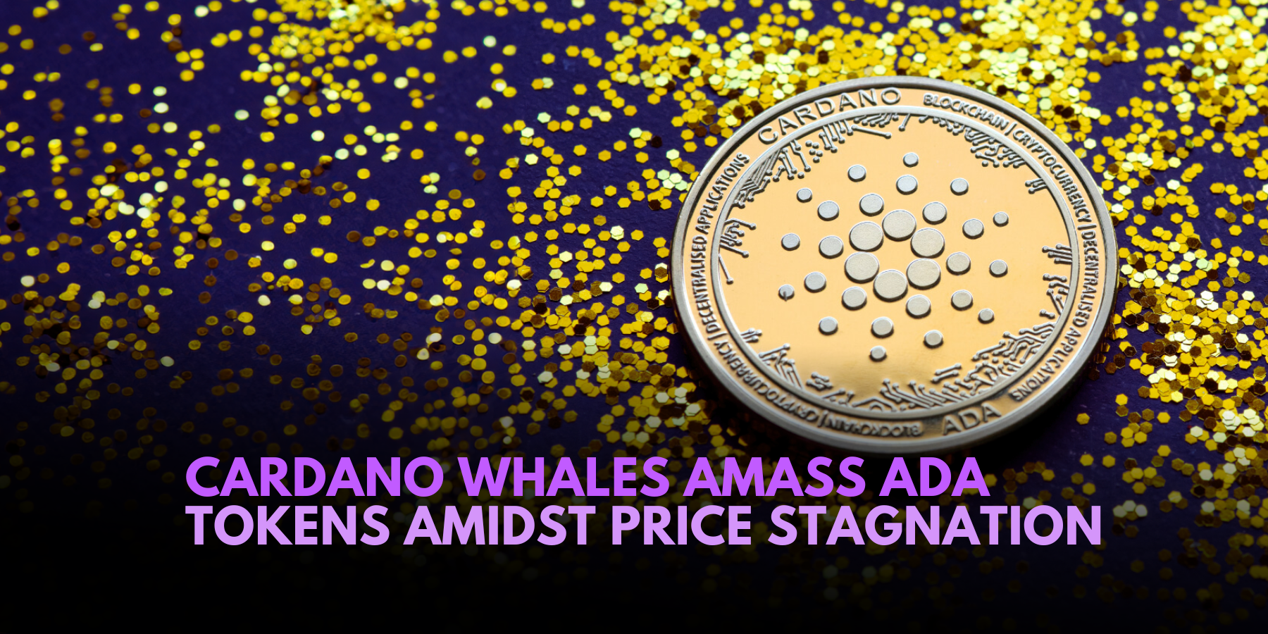 Cardano Whales Accumulate ADA Tokens Amidst Price Inaction – TitoVlogs