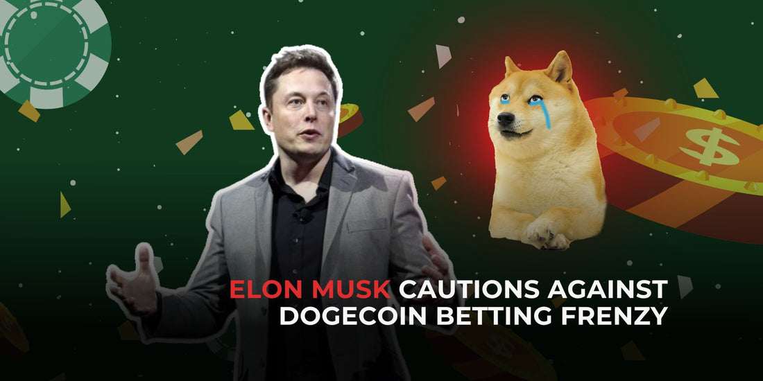 Elon Musk Warns Against Big Bets on Dogecoin Amidst Change in Perspective
