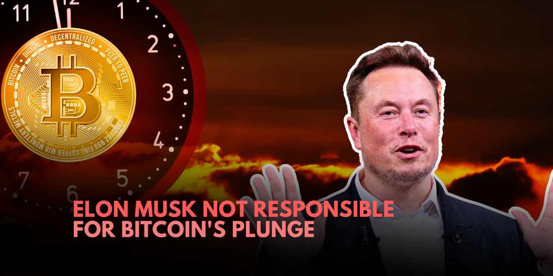Debunking Elon Musk's Role in Bitcoin's Recent Sell-off