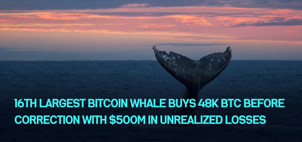 16th largest Bitcoin whale buys 48k BTC before correction with $500M in unrealized losses