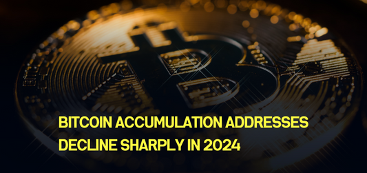 Bitcoin accumulation addresses decline sharply in 2024