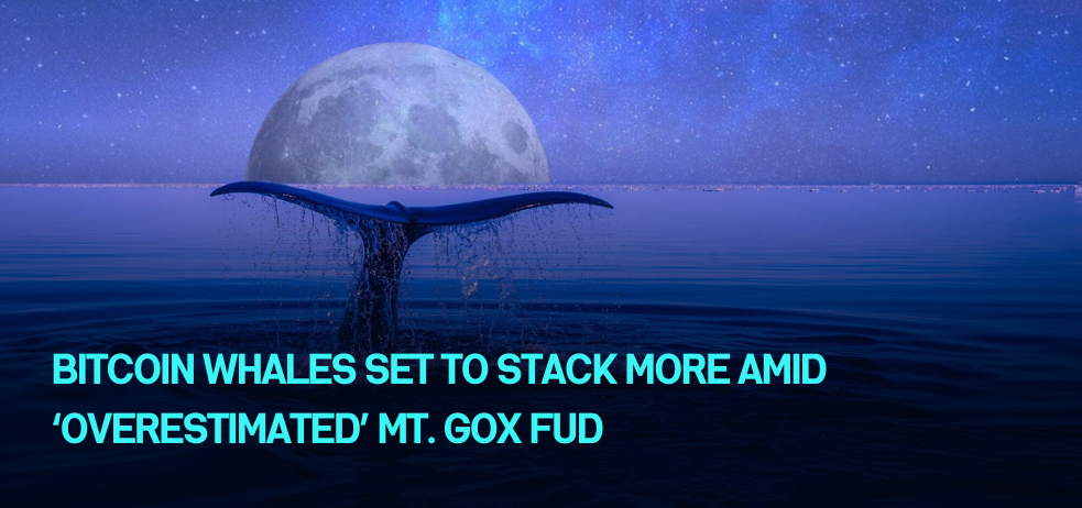 Bitcoin whales set to stack more amid ‘overestimated’ Mt. Gox FUD