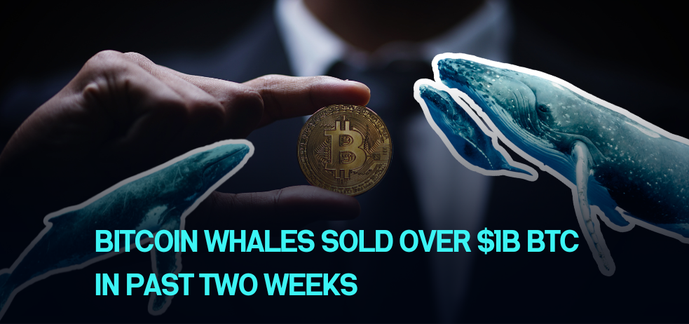 Bitcoin Whales Sold Over $1B BTC in Past Two Weeks